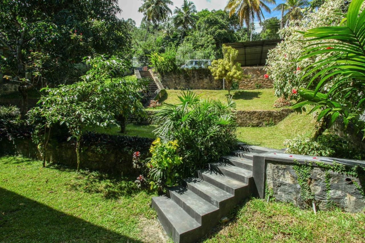 12 B 1/1, Lewella Rd, شقة *